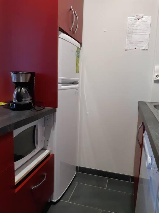 Le Sarciron 82 Apartment Le Mont-Dore Ngoại thất bức ảnh